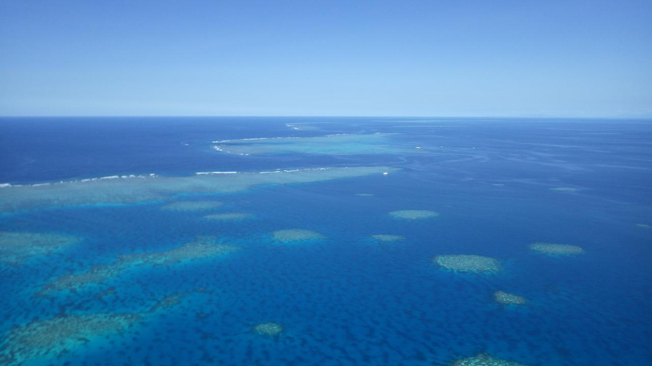 South Pacific Bed & Breakfast Clifton Beach Exteriör bild